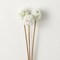 Sullivan's Allium Bunch, White Faux Floral Stem for Crafting, Weddings, Home and Holiday Decoration, 22 Inch